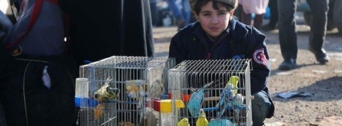 Syria Daily: Removals Continue from East Aleppo