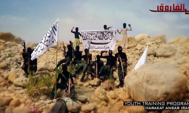 Iran Analysis: Sunni Separatists Harakat Ansar Iran Call For Arms on Saudi TV
