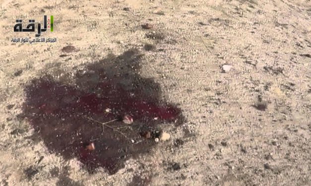 Syria Spotlight: Videos – Assad’s Forces Used Fuel-Air Bombs Against Raqqa School