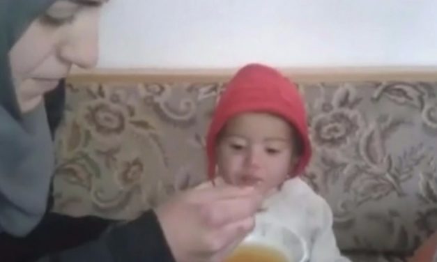 Syria Feature: The “Ask Me Anything” Discussion With a Mother in Starving Madaya