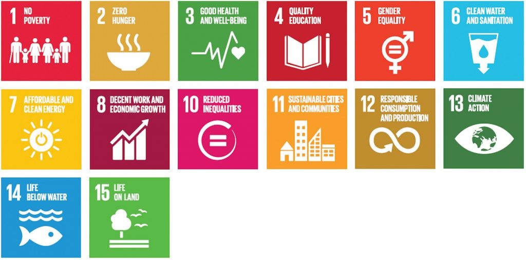 UN SDG GOALS