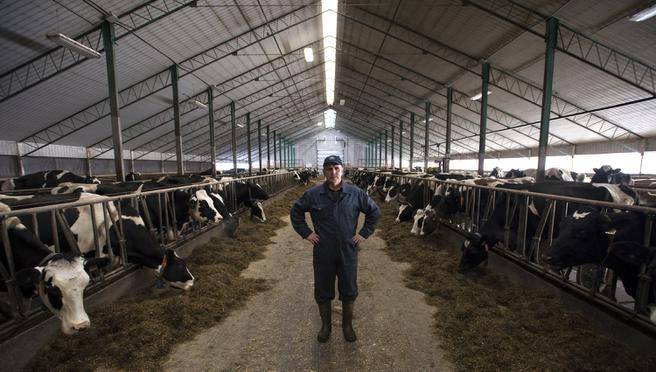 Trump’s Trade War With Canada: The Story Behind the “270% Dairy Tariff”