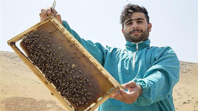 Iran Daily: Tehran — We Will Fight US Sanctions With Bees