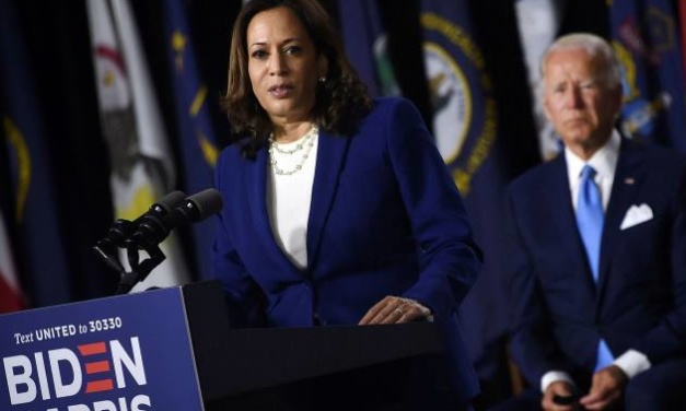 Biden-Harris Set Out Vision of Recovery as Trump Struggles with Attacks