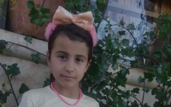 1 Child Killed, 5 Injured in Latest Pro-Assad Attacks on Northwest Syria