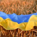 Ukraine War, Day 81: G7 — Russia’s Invasion Threatening 43 Million with Famine