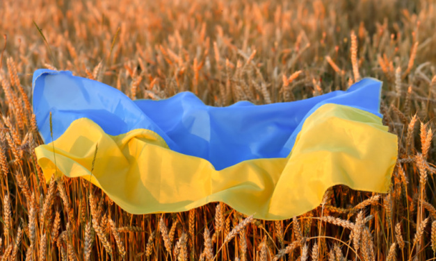 EA on ANews: Ukraine’s 1st Grain Export from Black Sea Ports — What Is The Significance?