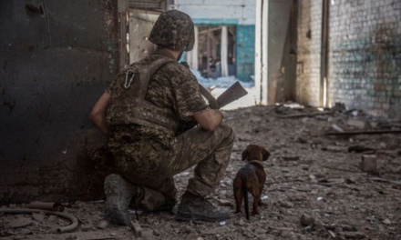 Ukraine War, Day 122: Ukrainian Defenders to Withdraw from Sievierodonetsk