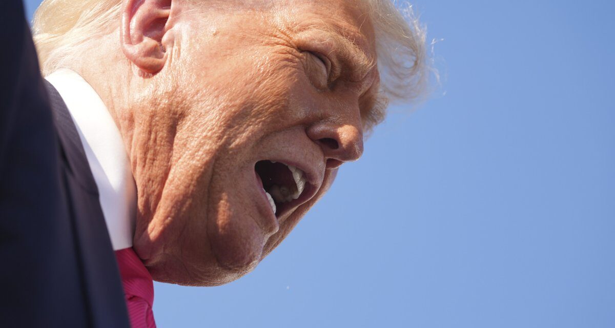 EA on Times Radio and Pat Kenny Show: Frustrated by Epstein, Trump Kills Kermit, Elmo, and Miss Piggy