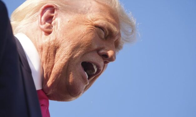 EA on Times Radio and Pat Kenny Show: Frustrated by Epstein, Trump Kills Kermit, Elmo, and Miss Piggy