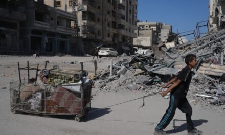 EA on International Outlets: Gaza Ceasefire — After the Hostages-for-Detainees Exchange