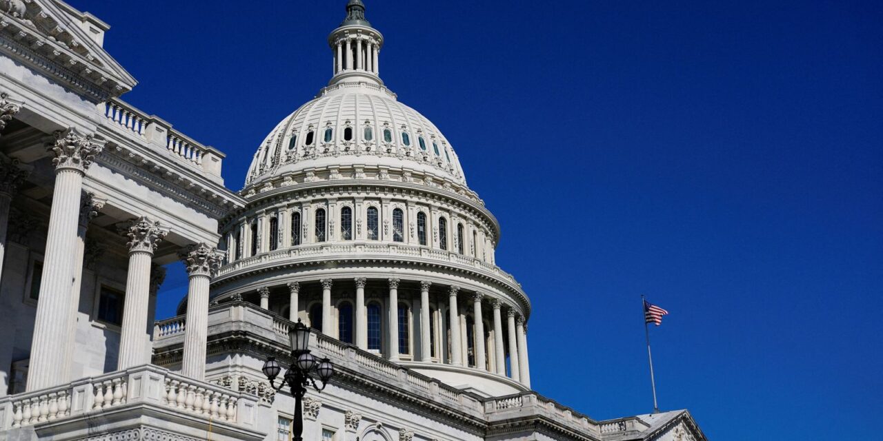 EA on DW News: An End to US Government Shutdown?