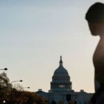 EA on International Outlets: What’s Next After End of US Government Shutdown