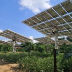 Food? Renewable Energy? Why Not Both?