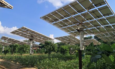 Food? Renewable Energy? Why Not Both?